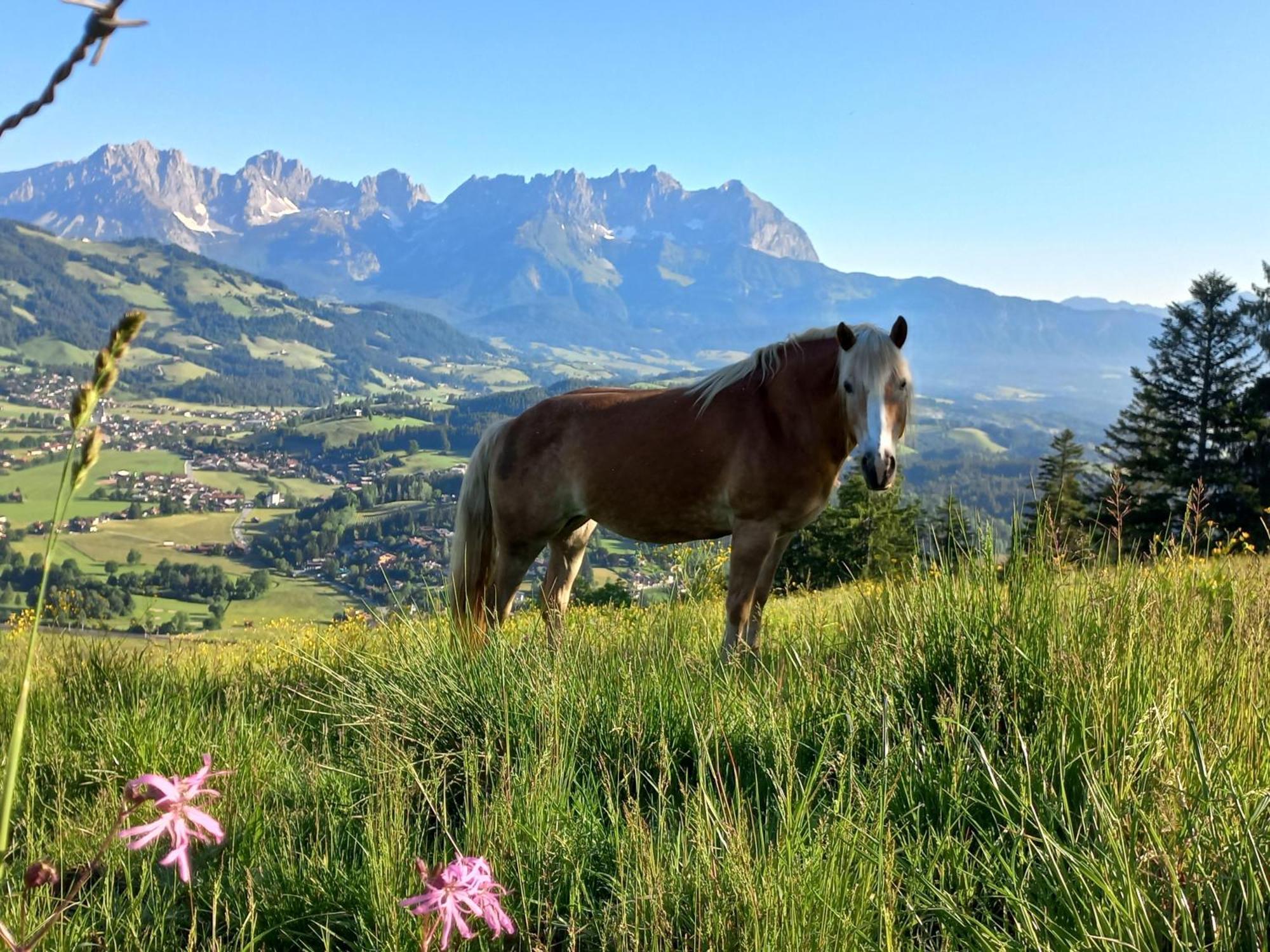 Hahnenkammblick Villa Kitzbühel Buitenkant foto