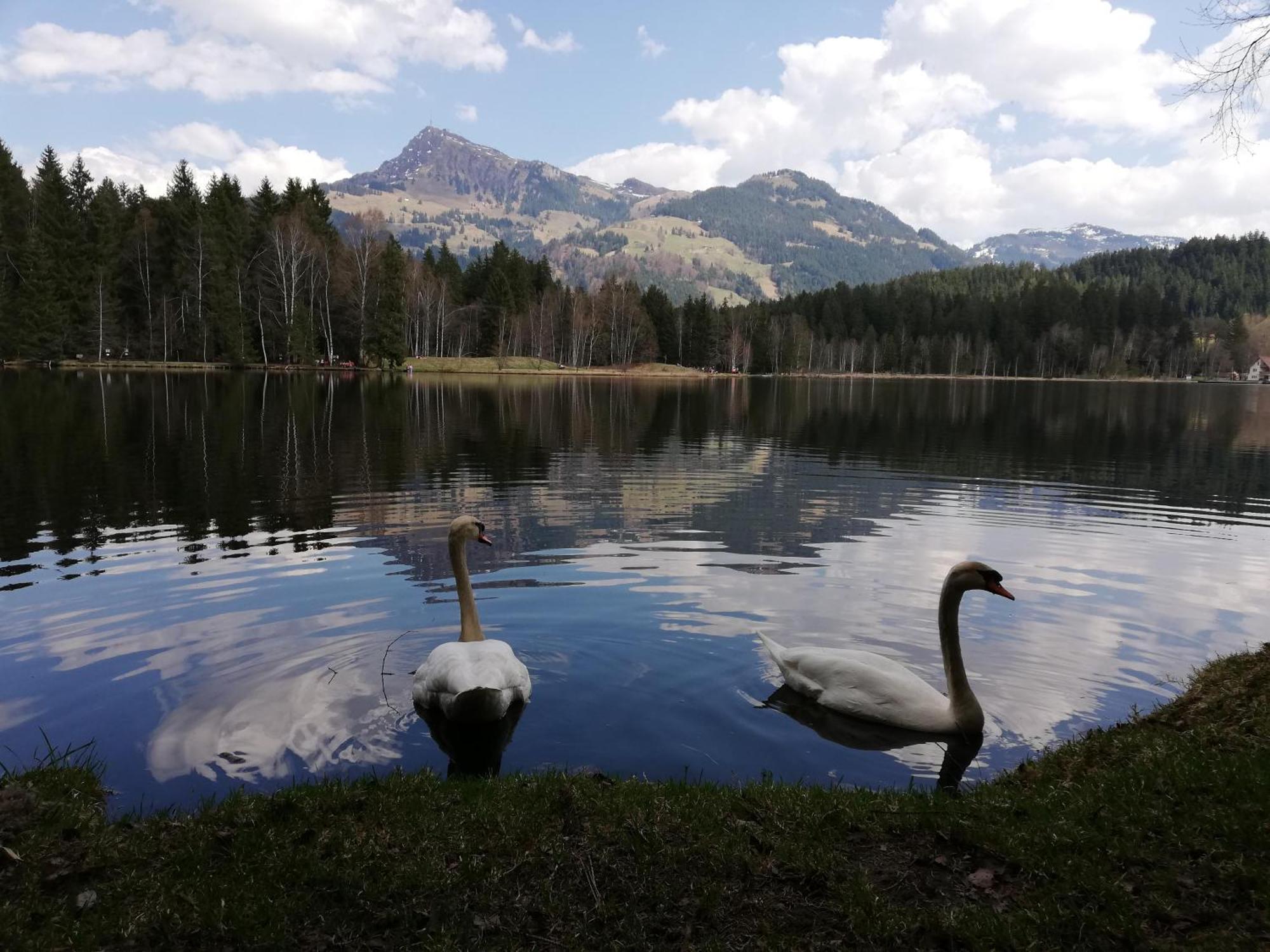 Hahnenkammblick Villa Kitzbühel Buitenkant foto