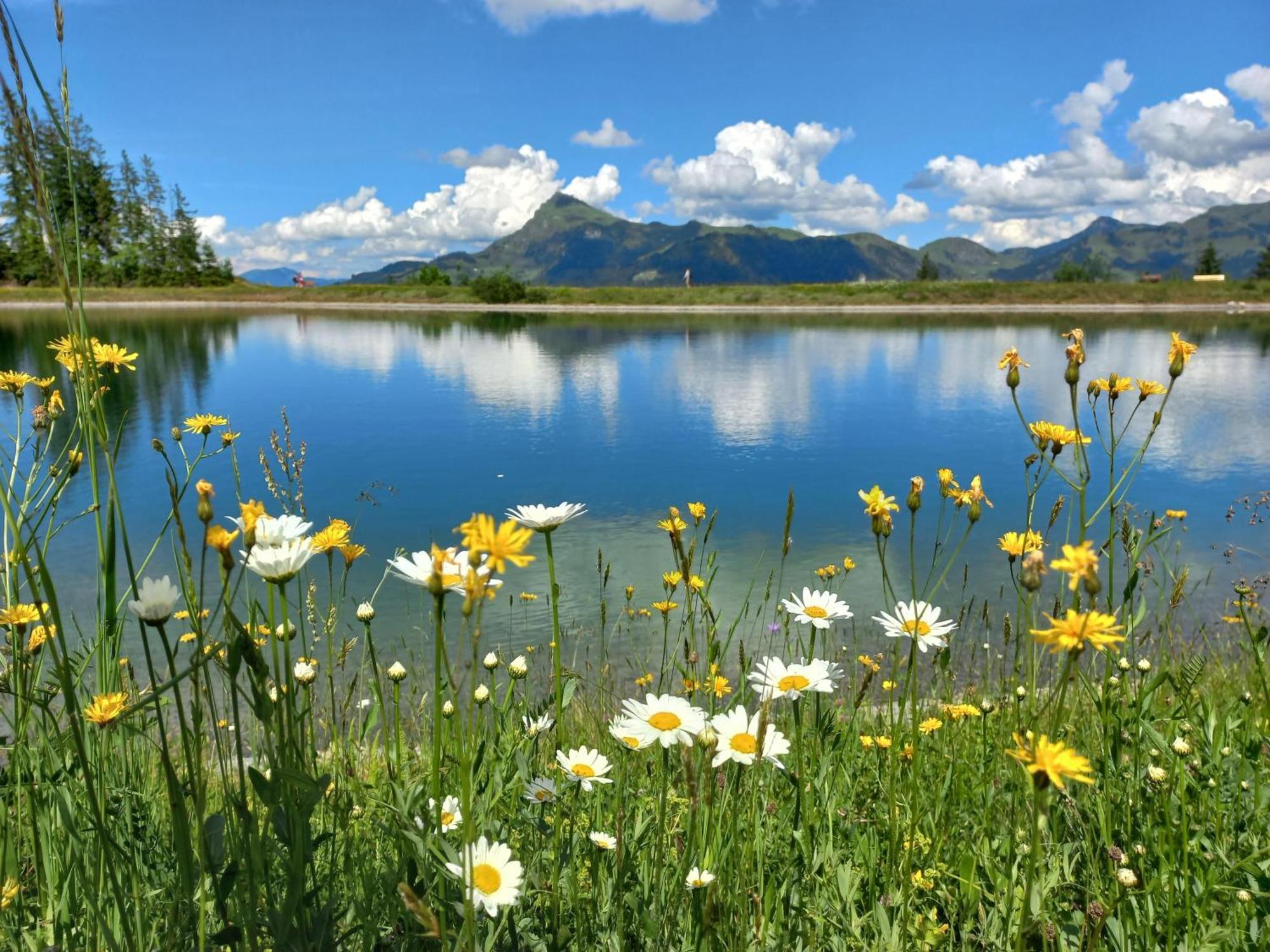 Hahnenkammblick Villa Kitzbühel Buitenkant foto